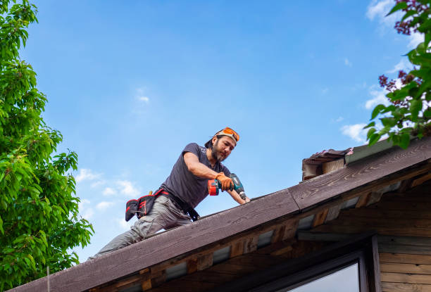 Best Skylight Installation and Repair  in Bono, AR