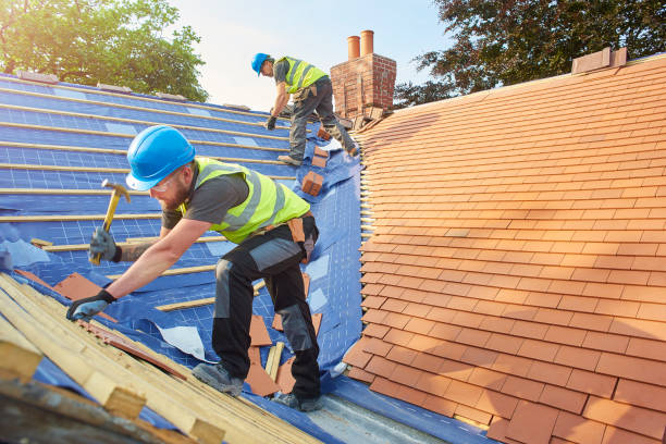 Best Asphalt Shingle Roofing  in Bono, AR
